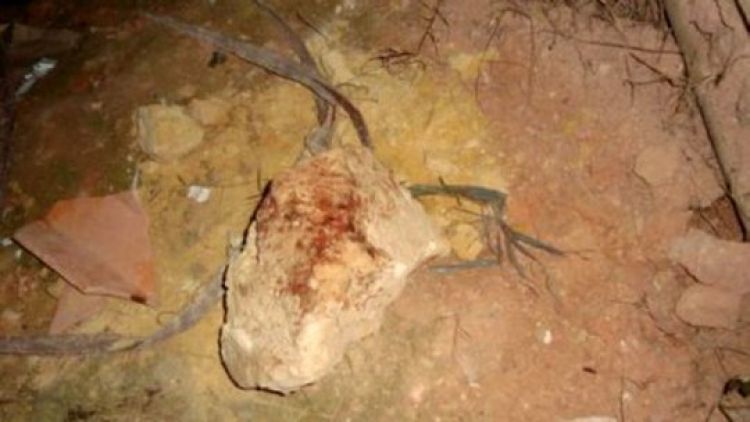 Fonte: Piripiri 40 Graus