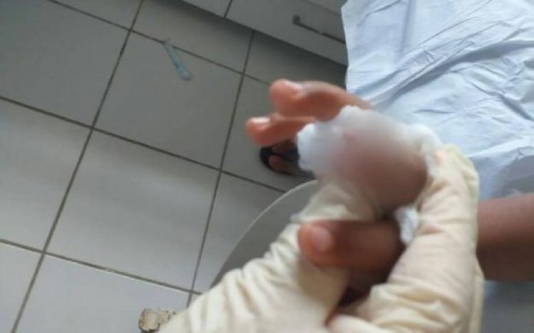 Fonte: Bom Jesus News