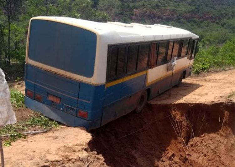 Com Informações Cidade Verde
