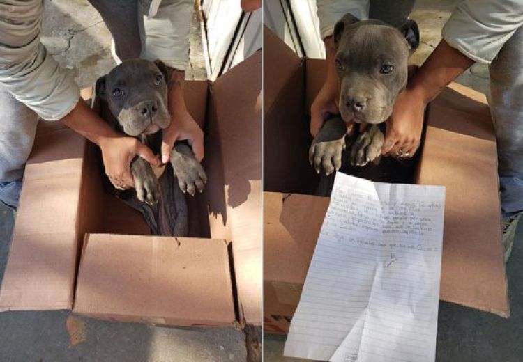 Com Informações: Cidade Verde