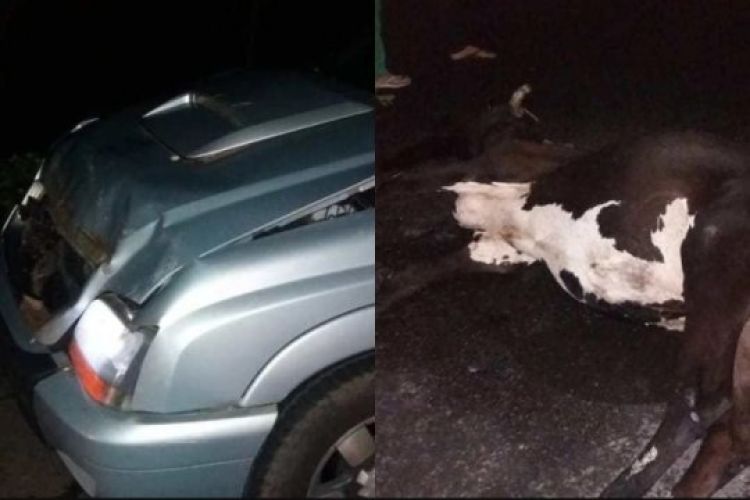 Com informações: Portal de União. 