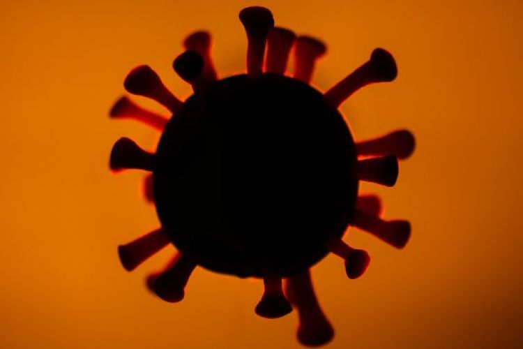 Com Informações: GP1