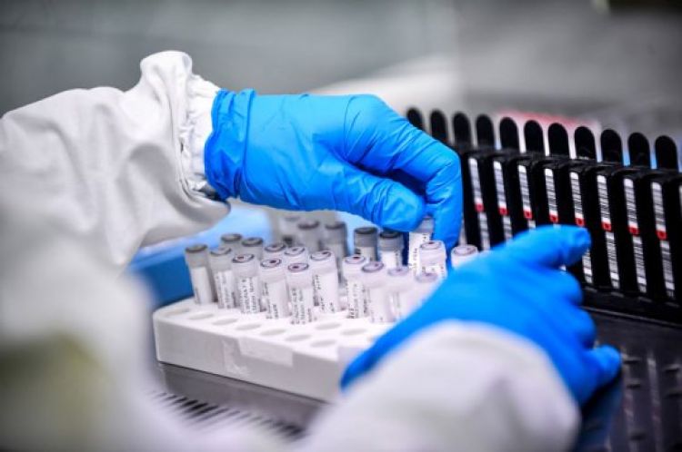 Com Informações: Folhapress