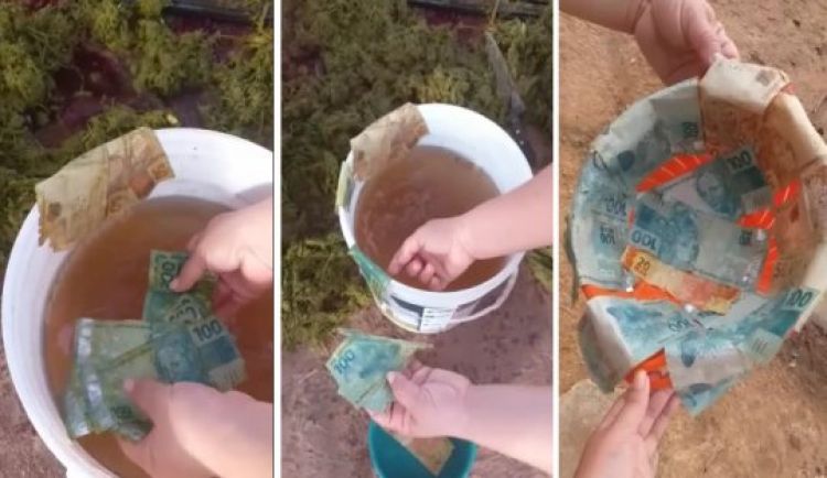 Com informações do ENotícias