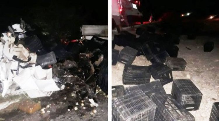 Com informações do cidadesnanet