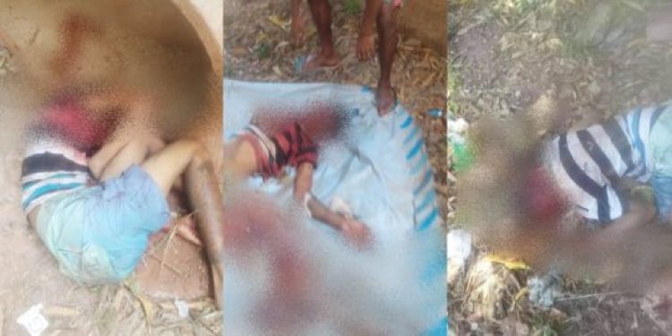 Com Informações: Meio Norte