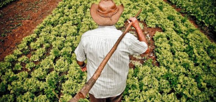 Com Informações: Agência Brasil 