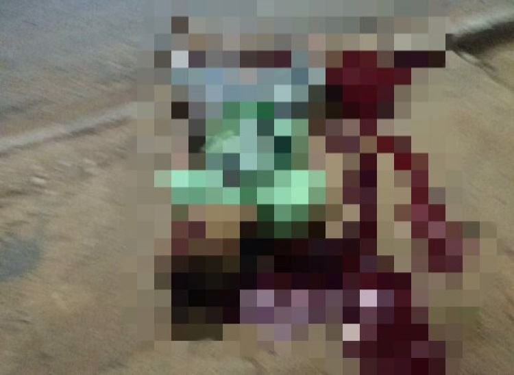 Com Informações: Meio Norte 