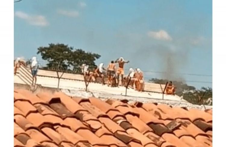 Com Informações: Meio Norte 