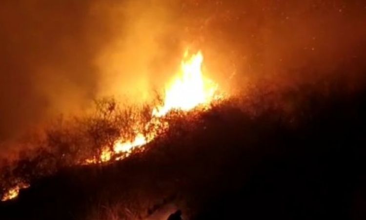 Com Informações: Meio Norte 