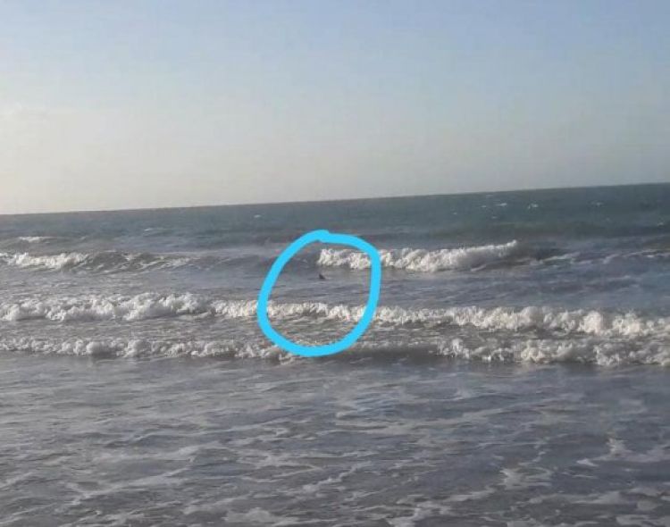 Com Informações: Jornal da Parnaíba