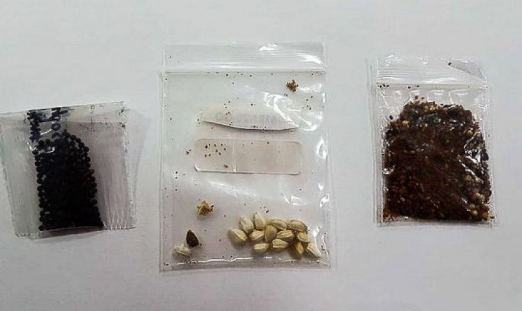 Com Informações: Meio Norte