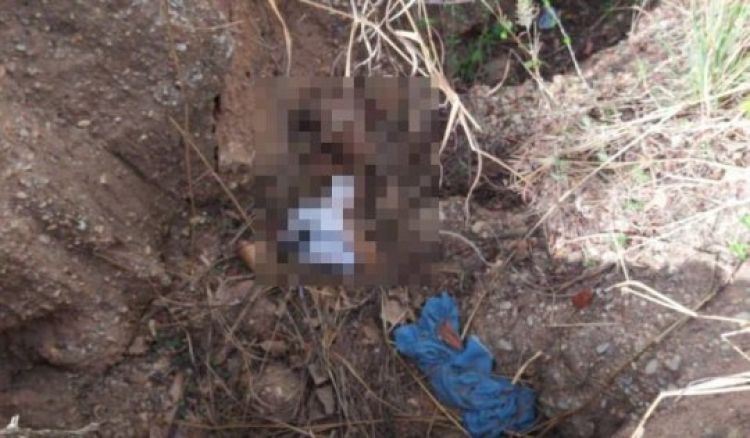 Com Informações: Meio Norte