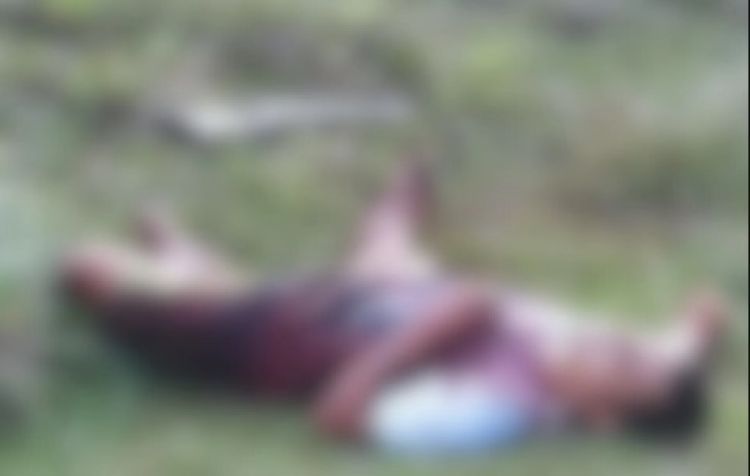 Com Informações: Jornal da Parnaíba