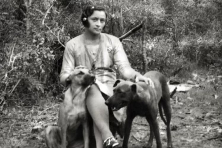 Com informações: Correio Braziliense