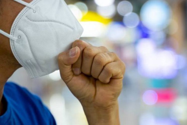 Com Informações: Cidade Verde