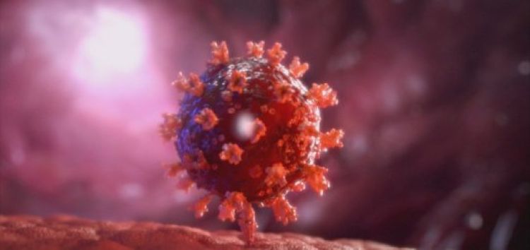 Com informações: G1 / PI