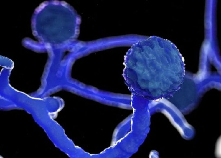 Com informações: Estadão