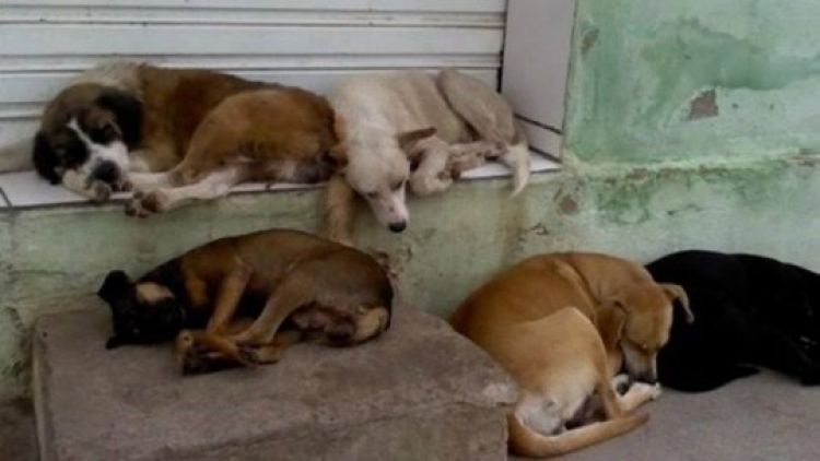 Imagem ilustrativa / Reprodução: Internet