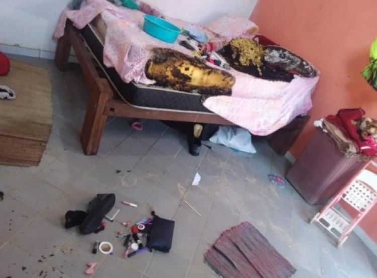 Com informações; Meio Norte