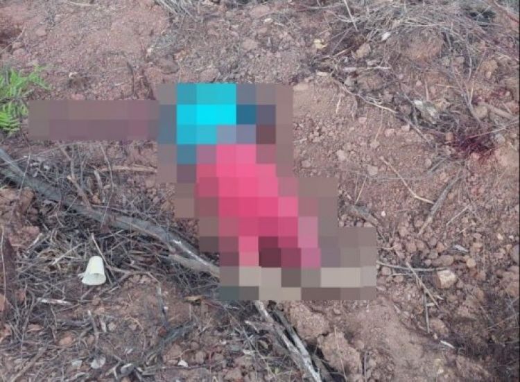 Com Informações: Meio Norte