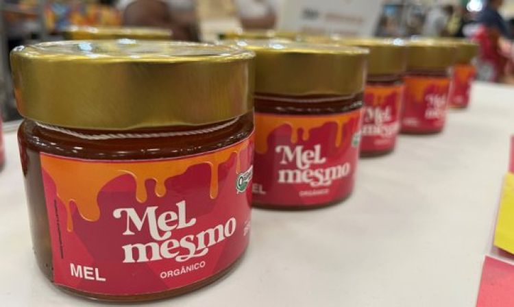 Com informações do Terra. Foto: Vinicius Vainner/Lupa