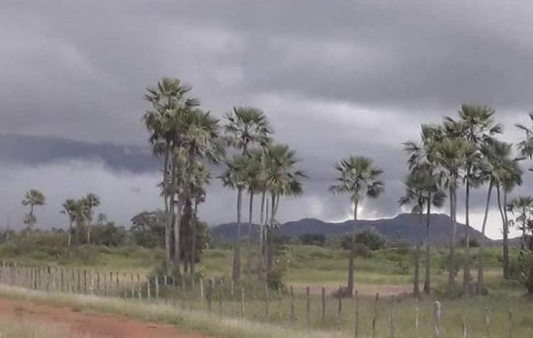 Fonte: Meio Norte. Foto: Em Foco