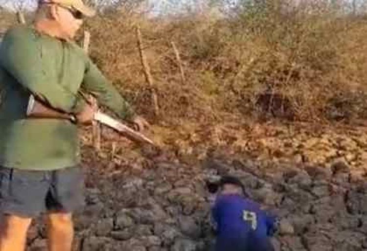 Foto: Reprodução/Site