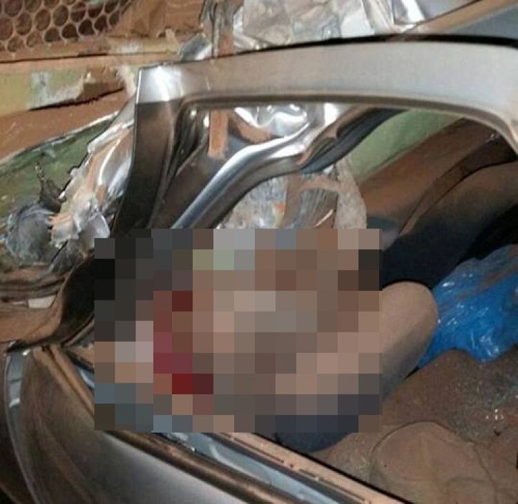 Fotos: Reprodução WhatsApp