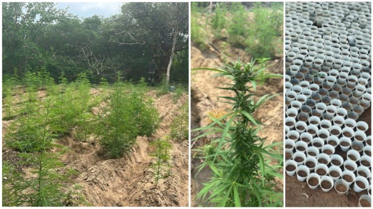 Foto: Divulgação/PM  