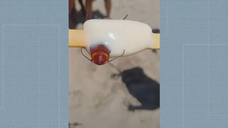 Consumidora contou que encontrou barata em picolé — Foto: Reprodução/ TV Globo