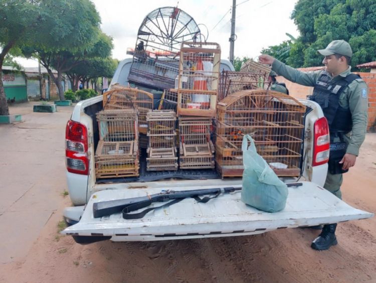 Foto: Divulgação/PM 