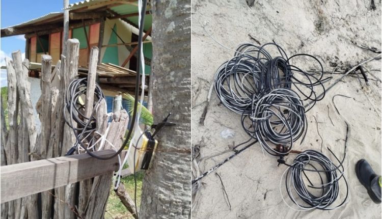 Foto: Polícia Civil 