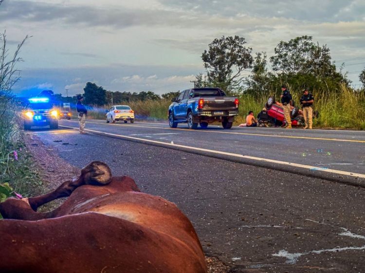 Foto: Divulgação/SSP 