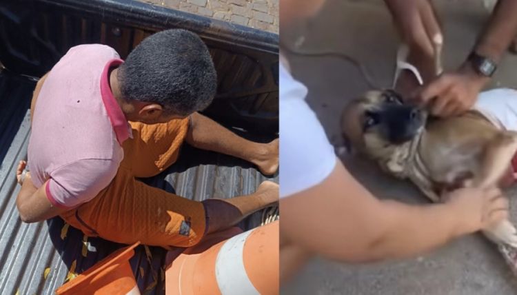 Foto do preso - Divulgação/PM 