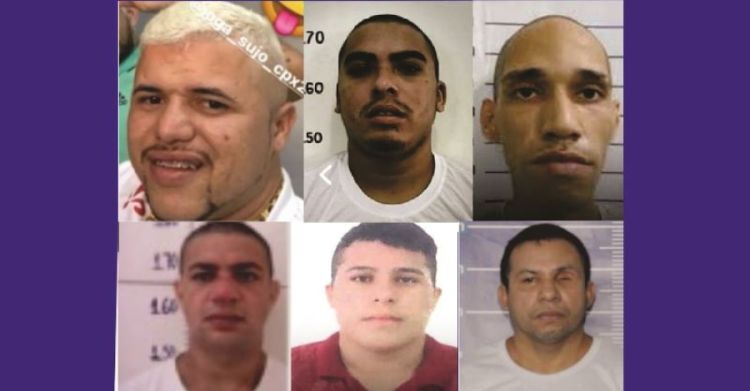 Pelo menos 5 dos 4 da foto foram conformados como mortos. 