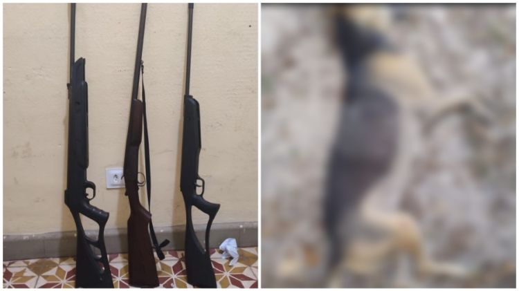 Foto: Divulgação/PM-PI