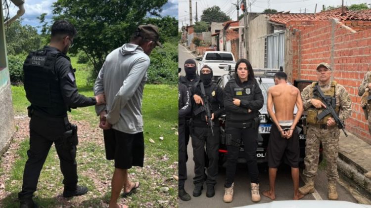 Foto: Divulgação/PC-PI