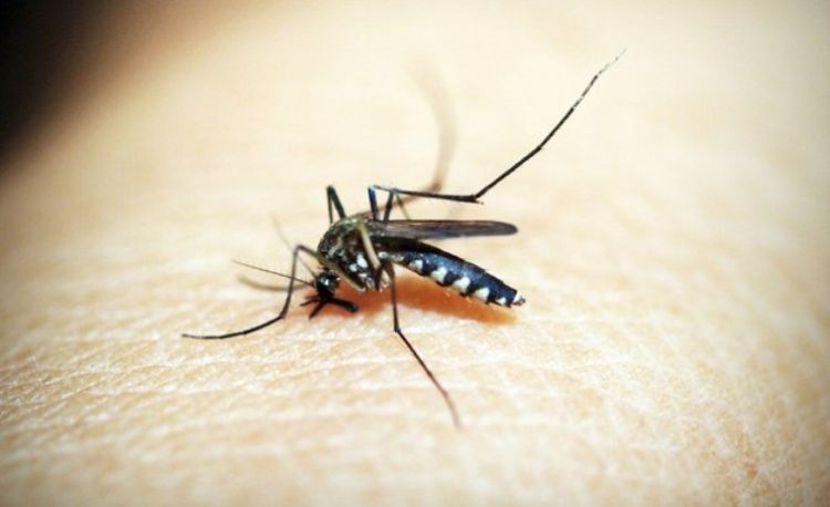 Com informações da Sesapi e G1