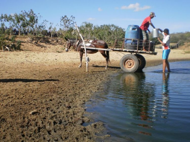 Foto: Reprodução G1 