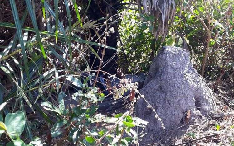 Fotos cedidas ao Em Foco pelo grupo GAV