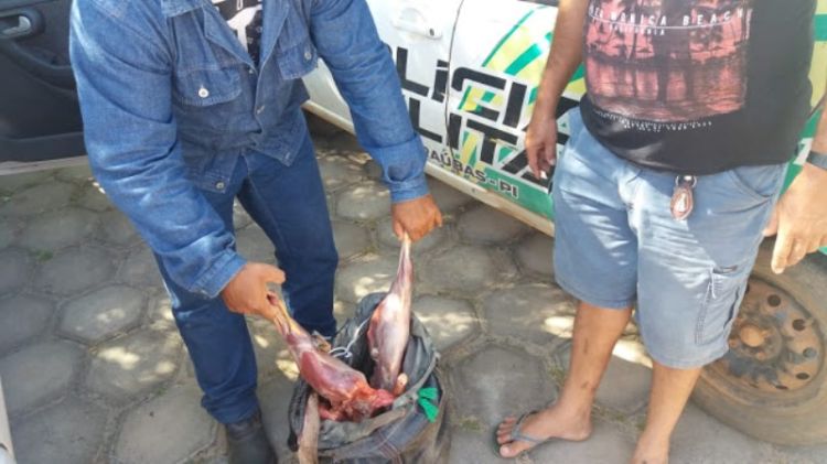 Com informações do portaldorurik