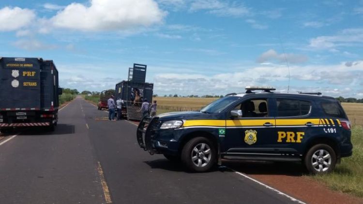 Fonte / Foto:PRF