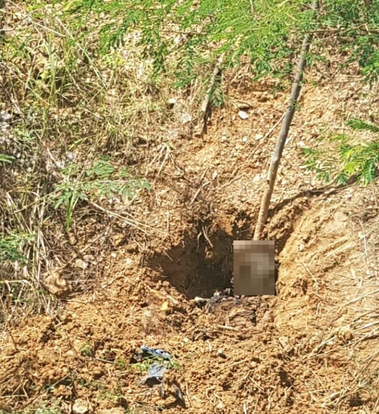 Fonte/Foto: Mais Piripiri